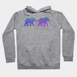 Follow the Leader (Purple and Blue) Hoodie